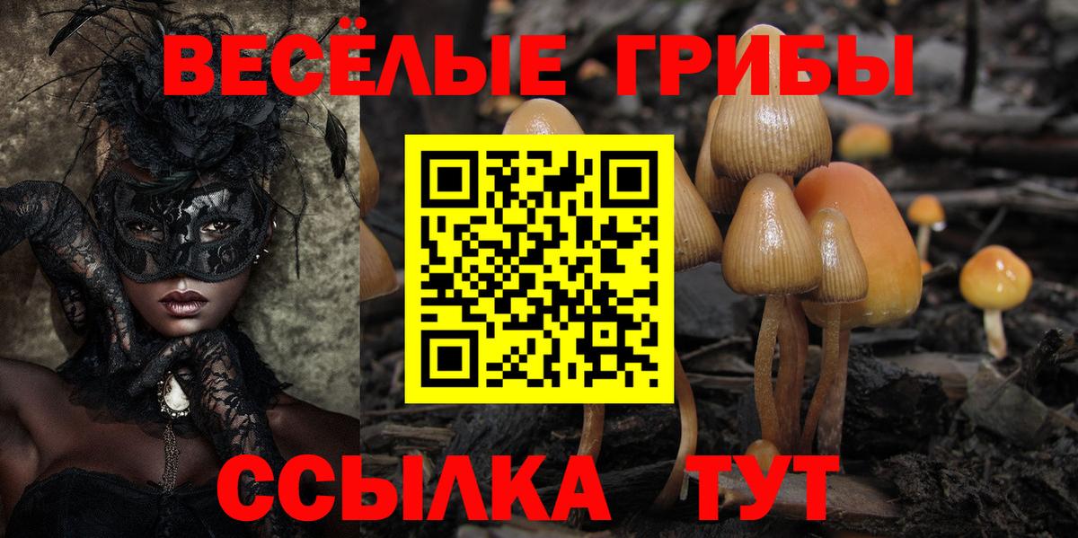 Псилоцибиновые грибы мухоморы Ногинск